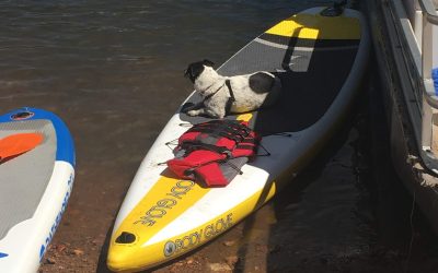 Body Glove Performer Inflatable Paddle Board