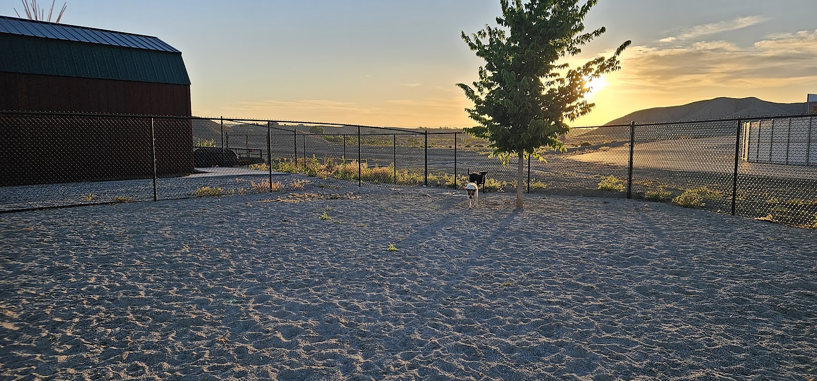 Buckthorn Rv Buckhorn RV Resort | Huntington, UT Dog Friendly Campground