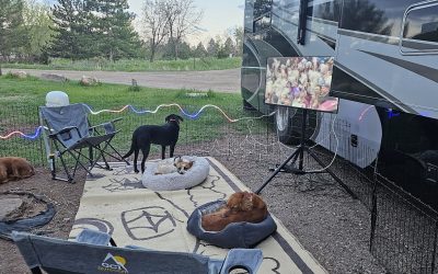 Foldable Pet Playpen